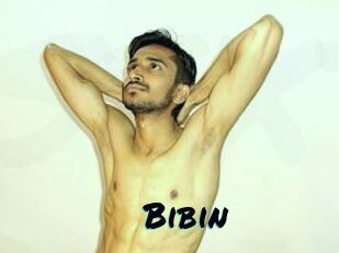 Bibin