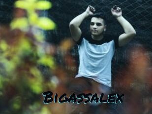 Bigassalex
