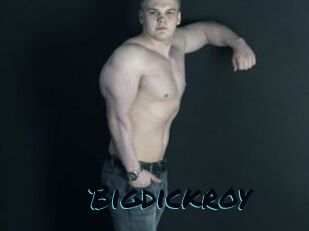 Bigdickroy