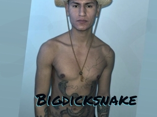 bigdicksnake Sexties