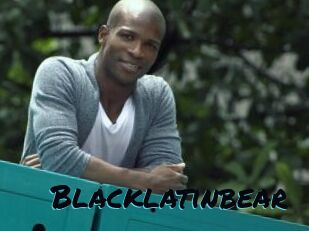 Blacklatinbear