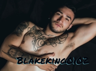 Blakeking0102