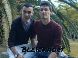 Bleicknort