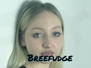Breefudge