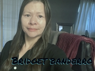 Bridget_banderro