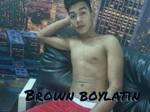 Brown_boylatin