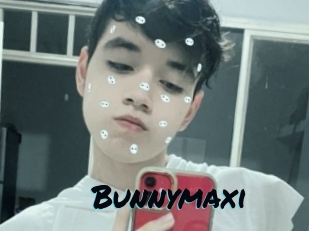 Bunnymaxi