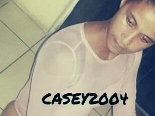 CASEY2004