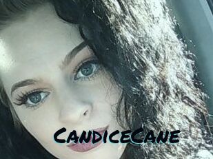 Candice_Cane