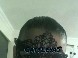 Cattleya_S