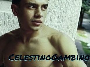 CelestinoGambino