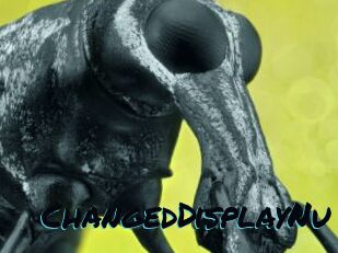 ChangedDisplayNu