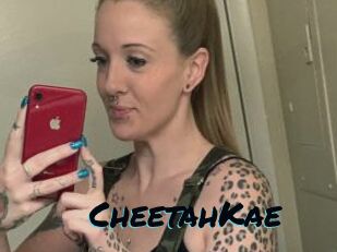 CheetahKae