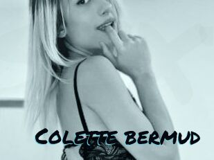 Colette_bermud