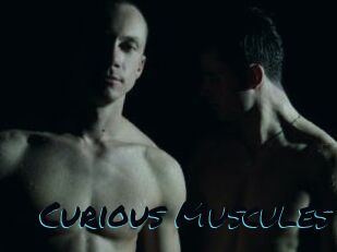 Curious_Muscules