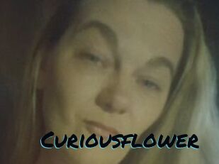 Curiousflower