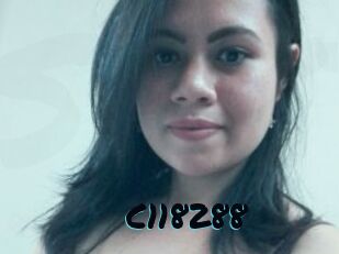C118288