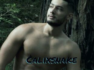 Calixsnake