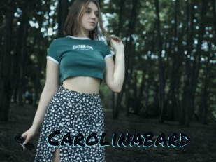 carolinabard Sexties