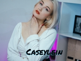 caseylein Sexties