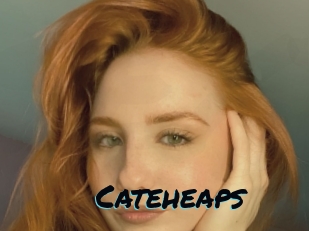 Cateheaps