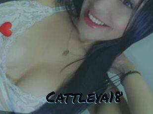 Cattleya18