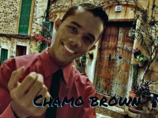 Chamo_brown