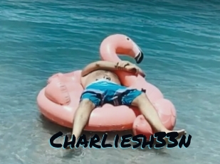 charliesh33n Sexties