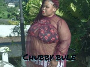 Chubby_bule