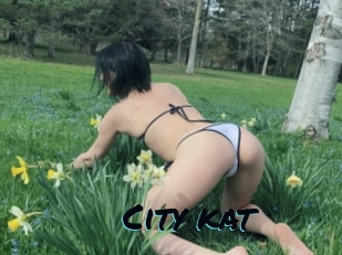 City_kat