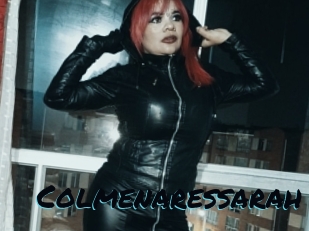 Colmenaressarah