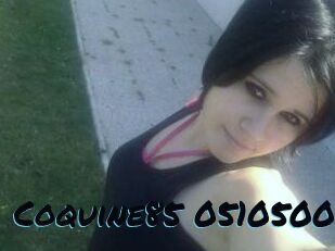 Coquine85-05105004