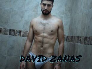 DAVID_ZANAS