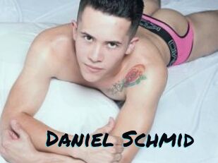 Daniel_Schmid