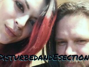 DeziDisturbedandEsection
