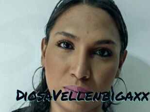DiosaVellenbigaxx