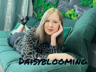 Daisyblooming