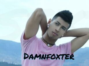 Damnfoxter