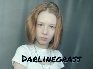 Darlinegrass