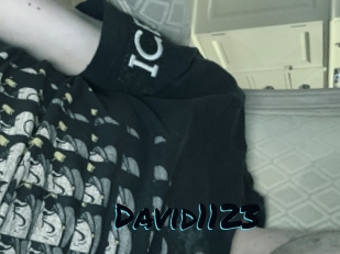 David1123