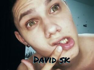 David_sk