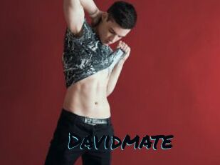 Davidmate