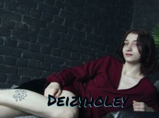 Deizyholey