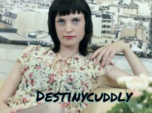 Destinycuddly