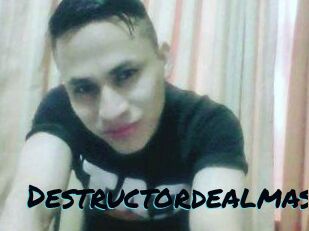 Destructordealmas