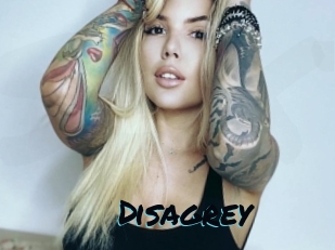 Disagrey