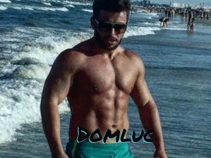 Domluc