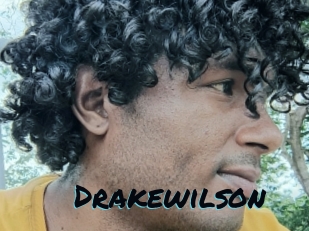drakewilson Sexties