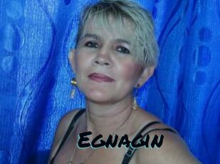 Egnagin