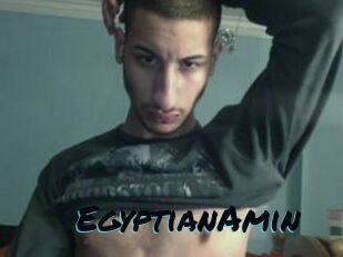 EgyptianAmin